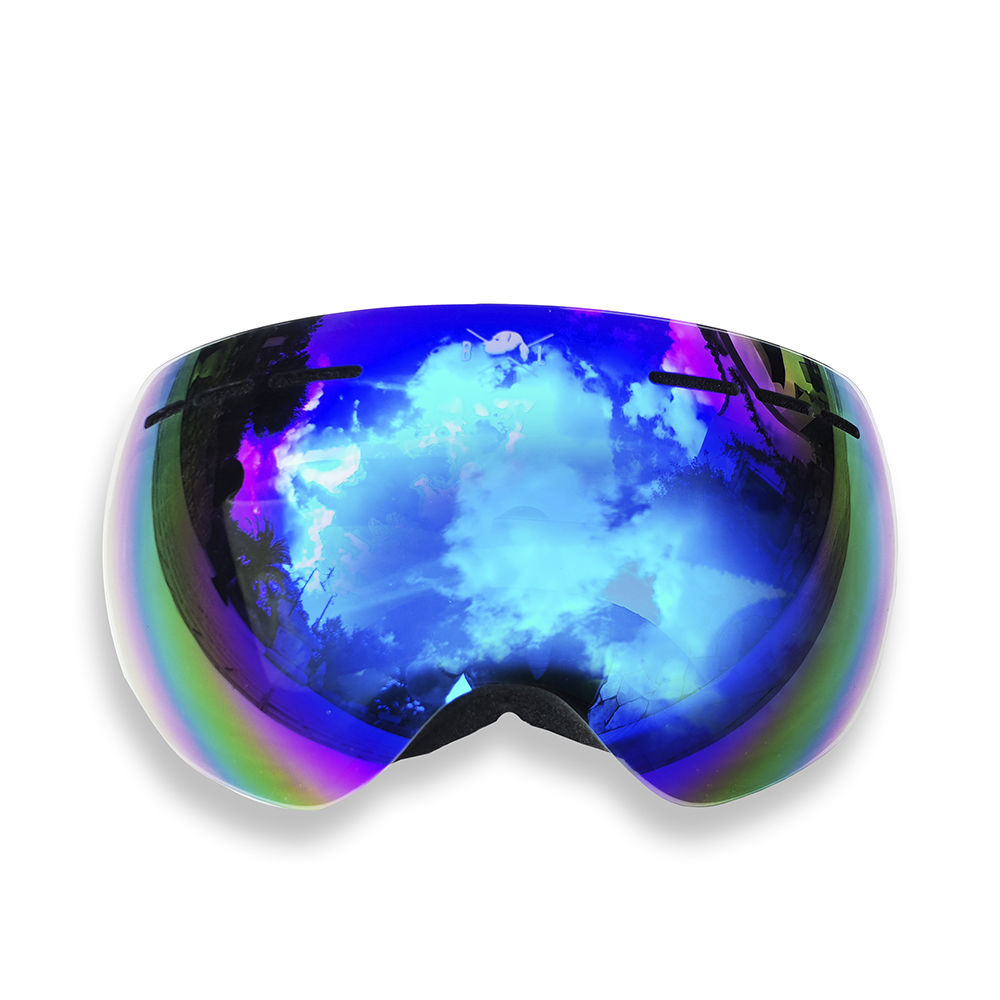 BROWN LABRADOR : S PRO set 2 pz