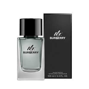 BURBERRY : MR BURBERRY eau de toilette spray 100 ml