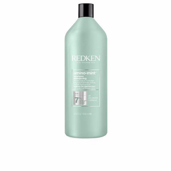 REDKEN : AMINO MINT shampoo 1000 ml