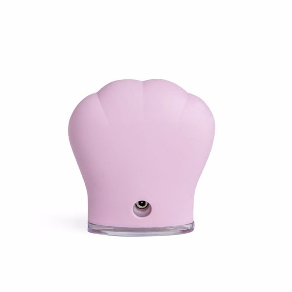 IDC INSTITUTE : SKIN cleansing brush 1 u