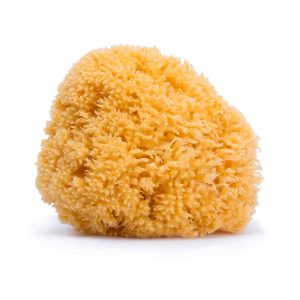 SUAVINEX : Natural Sponge for Bath